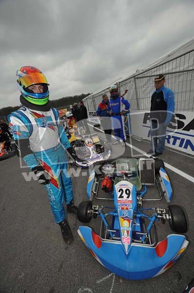 gazzurelli (2)